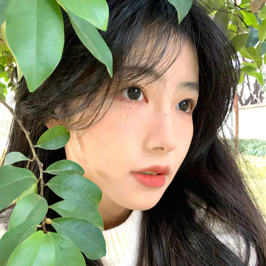 超脱青春